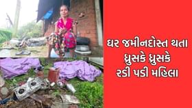 નવસારીમાં આવેલા વિનાશક વાવાઝોડામાં ચીખલી તાલુકાના ગામોને ભારે નુકસાન