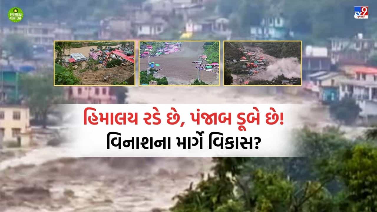 ચેતજો! હિમાલયની અવગણના હવે સમગ્ર દેશને ડૂબાડશે, દેશની સુપ્રીમ કોર્ટે પણ વ્યક્ત કરી ચિંતા