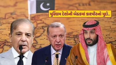 પાકિસ્તાને ફરી શરૂ કરી હલચલ ! કાશ્મીર મુદે મુસ્લિમ દેશો સાથે ન્યૂયોર્કમાં કરી બેઠક, જાણો શું થયું?