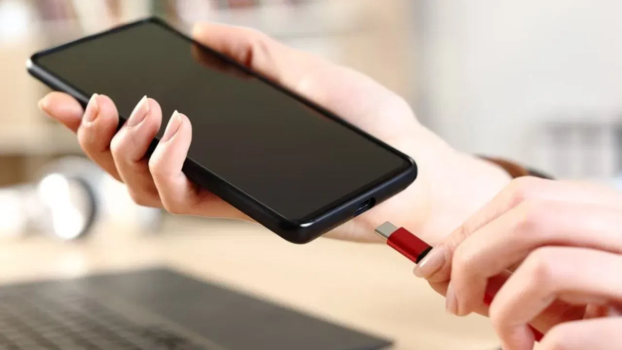 શોર્ટ સર્કિટનું જોખમ: લેપટોપ ચાર્જ કરતી વખતે, વ્યક્તિએ મોબાઇલ ફોનને તેની સાથે કનેક્ટ કરવાનું ટાળવું જોઈએ. કારણ કે, બંને ઉપકરણોની પાવર હેન્ડલિંગ ક્ષમતા અલગ છે. આવી સ્થિતિમાં, લેપટોપ કે મોબાઇલ ફોનમાં શોર્ટ સર્કિટ પણ થઈ શકે છે.