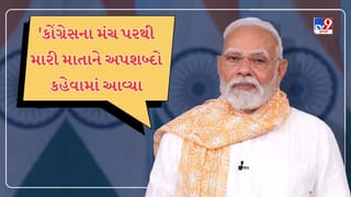 ‘આરજેડી-કોંગ્રેસના મંચ પરથી મારી માતાને અપશબ્દો કહેવામાં આવ્યા, જે આખા દેશની માતાનું અપમાન’, PM મોદીએ કર્યા પ્રહાર