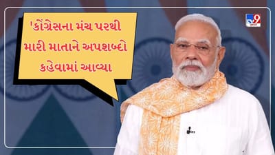 'આરજેડી-કોંગ્રેસના મંચ પરથી મારી માતાને અપશબ્દો કહેવામાં આવ્યા, જે આખા દેશની માતાનું અપમાન', PM મોદીએ કર્યા પ્રહાર