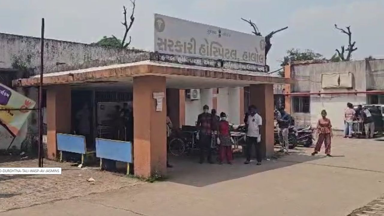 Breaking News : પંચમહાલના ઘોઘંબામાં કેમિકલ ફેક્ટરીમાં ગેસ લીકેજ, 20 થી વધુ કામદારો ઈજાગ્રસ્ત, જુઓ Video