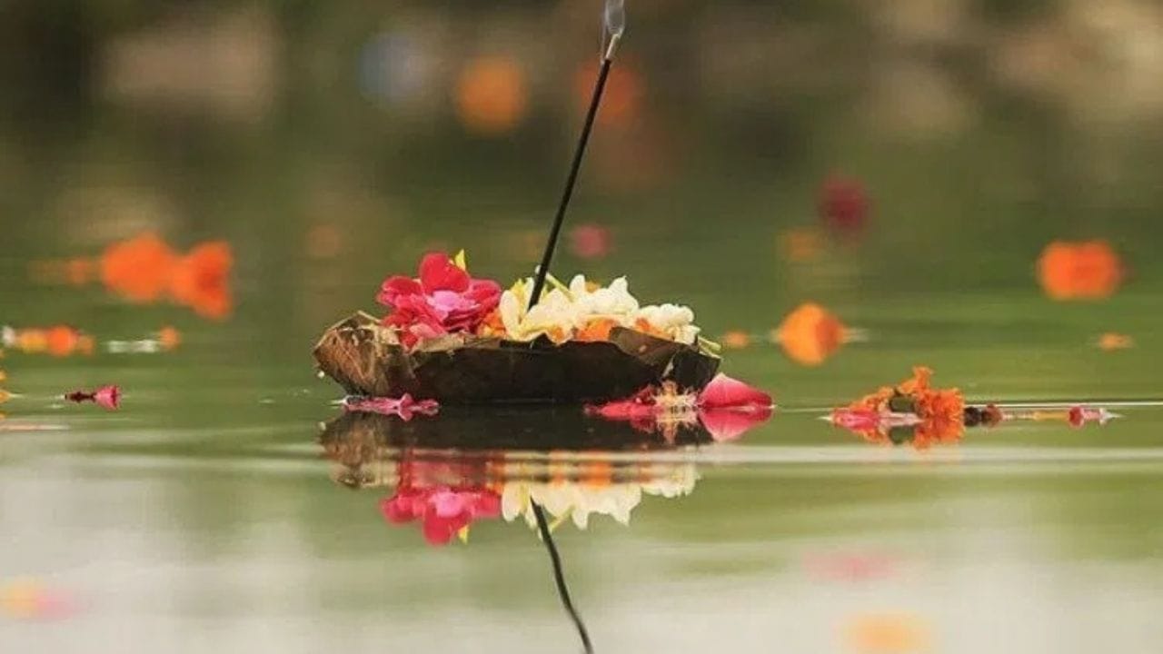 પિતૃ દોષને કારણે સંતાન ન થવું, લગ્નમાં વારંવાર અવરોધો, વ્યવસાયમાં આર્થિક નુકસાન, ખરાબ સ્વાસ્થ્ય, પરિવારમાં કોઈ સતત બીમાર રહેવું અથવા ઘરમાં હંમેશા અશાંતિનું વાતાવરણ રહેવું - આ બધા પિતૃ દોષના કારણો હોઈ શકે છે.(નોંધ : અહીં આપવામાં આવેલી માહિતી ધાર્મિક માન્યતાઑને આધારે ફક્ત આપની જનકારી માટે છે.)