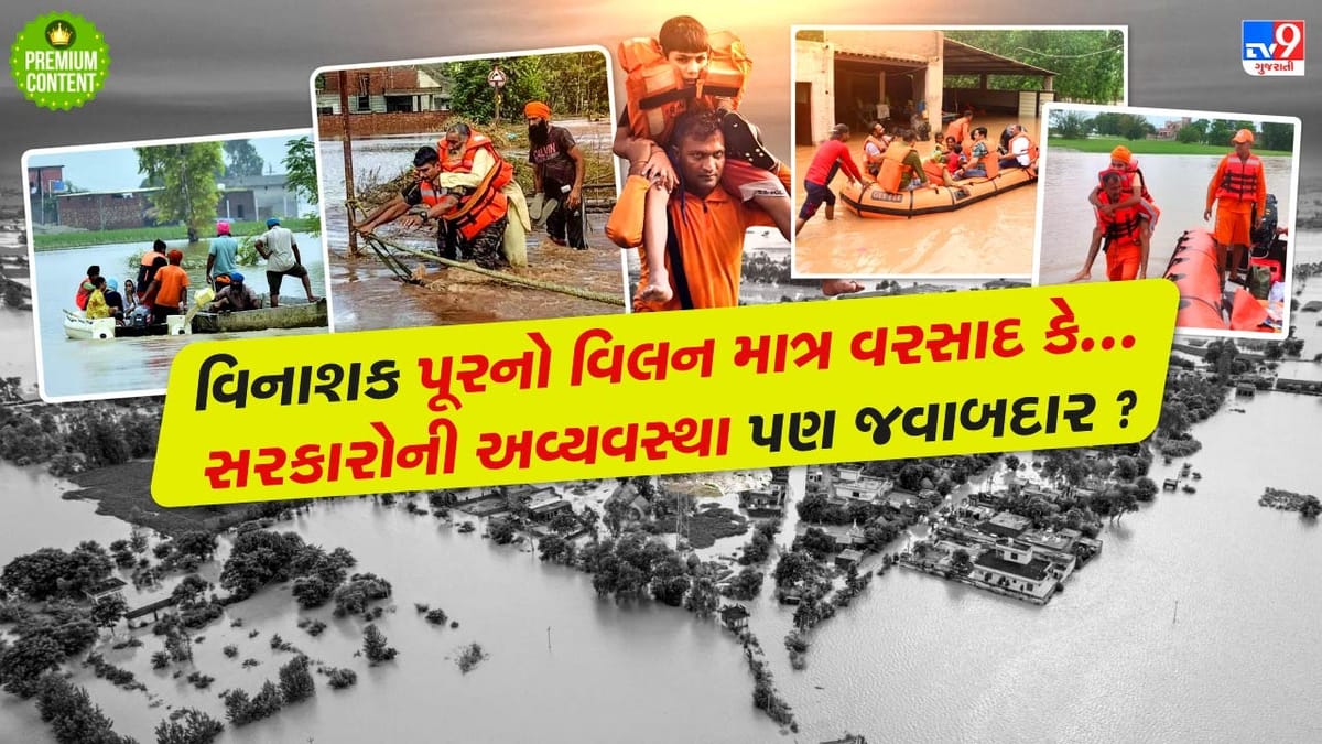 પંજાબમાં આવેલા પૂરનો પ્રકોપ કુદરતી કે માનવસર્જિત? 43નાં મોત, 9 લાખ લોકોનું સ્થળાંતર, લાખો હેક્ટર પાક બર્બાદ- જવાબદાર કોણ?