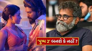 Pushpa 3 Update: ‘પુષ્પા 3’ બનશે કે નહીં ? ડાયરેક્ટરે કર્યો મોટો ખુલાસો