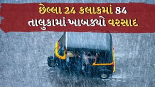 રાજ્યમાં છેલ્લા 24 કલાકમાં 84 તાલુકામાં વરસાદ