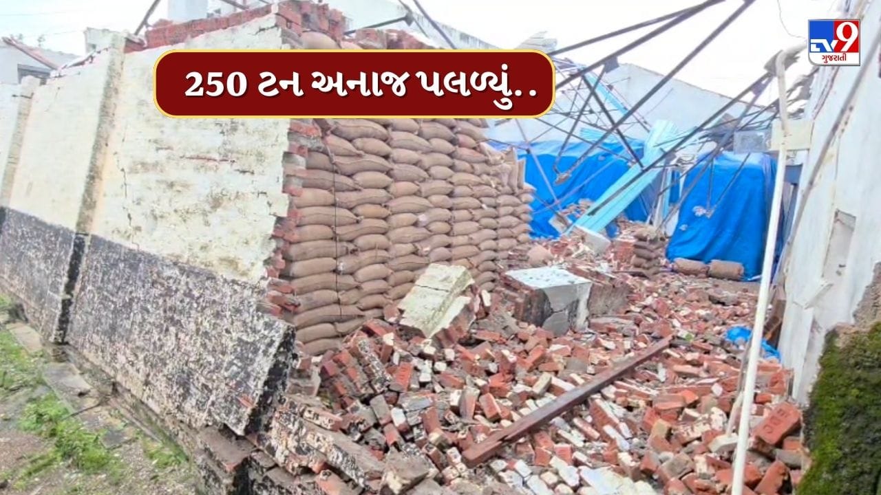 Navasari : ચીખલીમાં મેઘરાજાએ બોલાવી ધડબડાટી, 250 ટન અનાજ પલળ્યું, જુઓ Video Navasari : ચીખલીમાં મેઘરાજાએ બોલાવી ધડબડાટી, 250 ટન અનાજ પલળ્યું, જુઓ Video