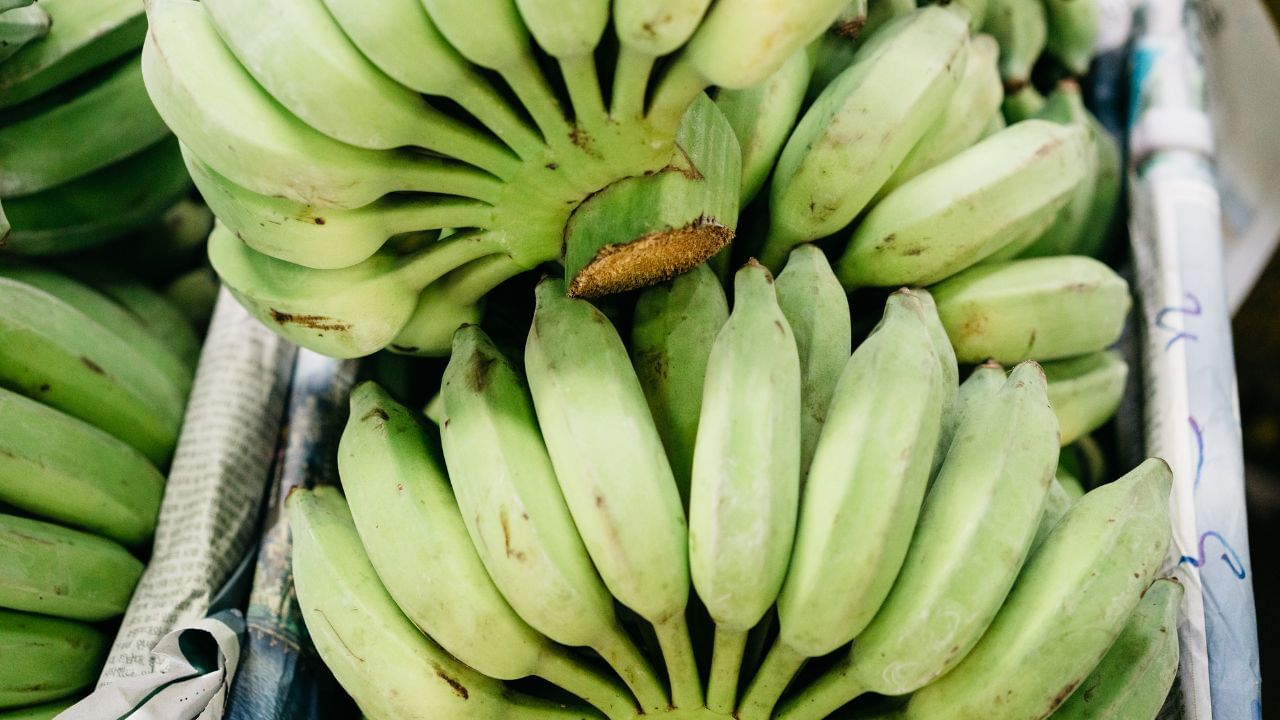 કાચા કેળા પોટેશિયમથી ભરપૂર માત્રામાં હોય છે. વિટામિન B અને વિટામિન B6 થી ભરપૂર, તે લોહીને શુદ્ધ કરે છે, કાચા કેળામાં રહેલ વિટામિન C હોય છે. કાચા કેળામાં ખાંડનું પ્રમાણ ખૂબ ઓછું હોય છે. તેમનો ગ્લાયકેમિક ઇન્ડેક્સ 30 થી 50 ની વચ્ચે હોય છે. 55 થી ઓછો ગ્લાયકેમિક ઇન્ડેક્સ ધરાવતા ખોરાક ચયાપચયને ધીમો પાડે છે. આ બ્લડ સુગરના સ્તરમાં અચાનક વધારો અટકાવે છે, જે તેમને ડાયાબિટીસના દર્દીઓ માટે ફાયદાકારક બનાવે છે. ( નોંધ : આ લેખ માત્ર જાણકારી માટે છે. તેનો ઉપયોગ પુર્વે આપ આપના તબીબ અથવા તજજ્ઞોની સલાહ ખાસ લેવી જરૂરી છે.) (photo : canva)