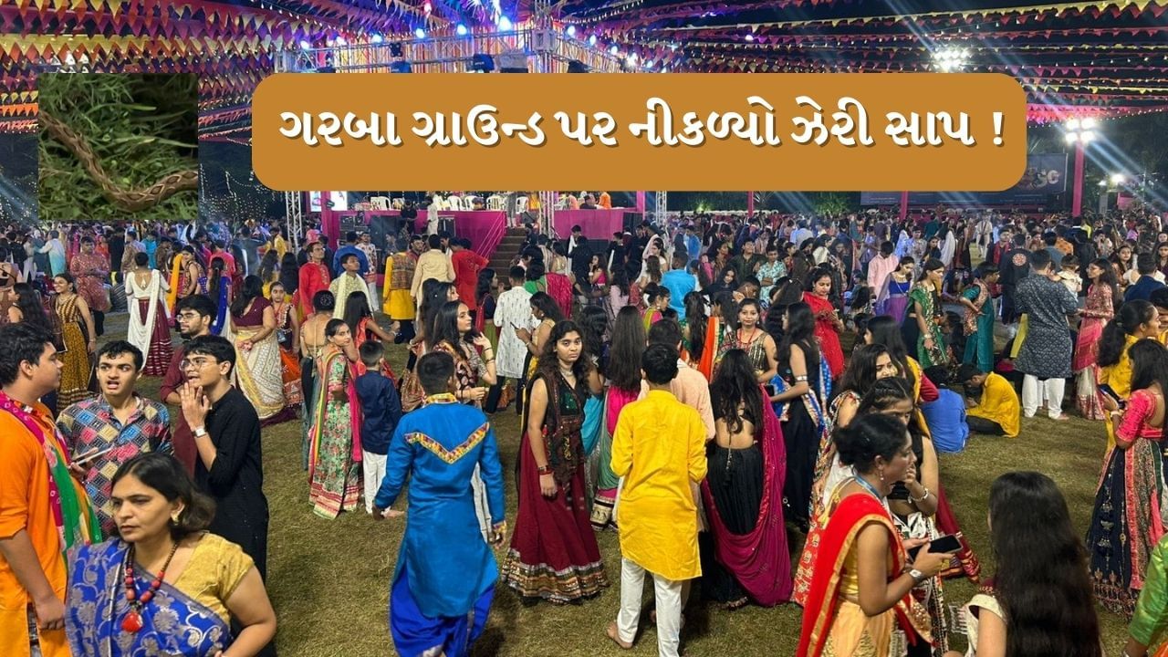 Vadodara : ગરબા ગ્રાઉન્ડમાં નીકળ્યો ઝેરી સાપ ! લોકોમાં અફરાતફરીનો માહોલ સર્જાયો, જુઓ Video