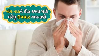 શરદીને કારણે નાક બંધ થઈ ગયું છે? તો આ ઘરેલું ઉપચાર મિનિટોમાં આપશે રાહત