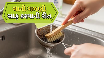 વાસણો સાફ રાખવા પણ જરૂરી છે. ગંદા વાસણોમાં ખોરાક ખાવાથી પેટમાં ચેપ લાગવાનું જોખમ વધે છે. સ્ટીલના વાસણો સરળતાથી સાફ થઈ જાય છે પરંતુ લાંબા સમય સુધી ઉપયોગ કર્યા પછી ચાની ગાળણી કાળી થઈ જાય છે.