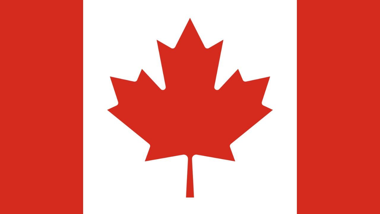 વિદેશી કામદારો માટે વર્ક વિઝા નાબૂદ કરવાની માંગ ઉઠી ! કારણ પણ જાણી લો