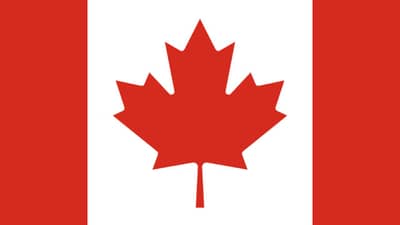 વિદેશી કામદારો માટે વર્ક વિઝા નાબૂદ કરવાની માંગ ઉઠી ! કારણ પણ જાણી લો