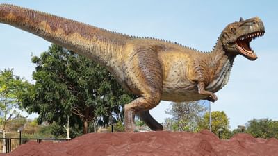 1980ના દાયકામાં બાલાસિનોરના રૈયોલી ગામમાં પેલિયોન્ટોલોજિસ્ટ્સ આકસ્મિક રીતે અવશેષો અને હાડકાં શોધી કાઢ્યા હતા. ત્યારથી આ સ્થળ સંશોધકોથી ભરેલું છે અને આ વિસ્તારમાં અનેક ખોદકામ થયા છે, જેના તારણો પરથી જાણવા મળ્યું છે કે લગભગ 64 મિલિયન વર્ષો પહેલા ડાયનાસોરની 13 થી વધુ પ્રજાતિઓ હતી.