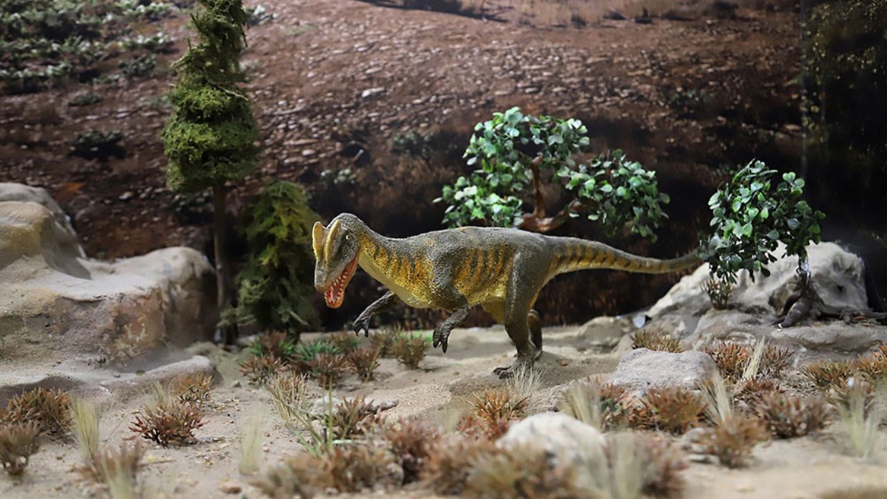  આ મ્યુઝિયમ 25,000 ચોરસ ફૂટથી વધુ વિસ્તારમાં ફેલાયેલું છે જેમાં ભોંયરામાં અને ગ્રાઉન્ડ ફ્લોર પર 10 ગેલેરીઓ છે જેમાં વિવિધ પ્રકારના પ્રદર્શનો (ફિલ્મો અને પ્રદર્શનો) દર્શાવવામાં આવ્યા છે.