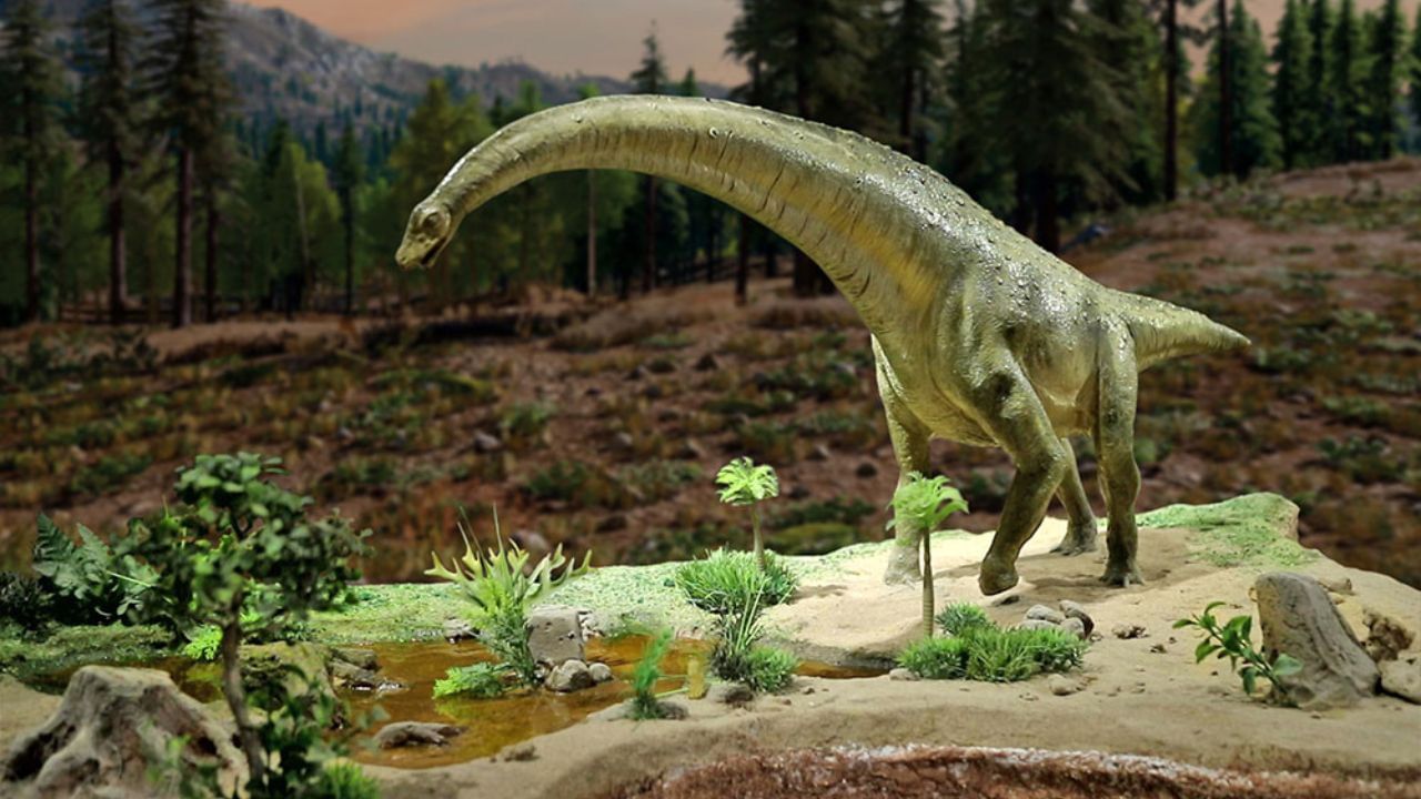  જો આપણે બાલાસિનોર ડાયનાસોર મ્યુઝિયમના ટિકિટની વાત કરીએ તો એન્ટ્રી ચાર્જ Rs 30, Adult - Rs 70, Foreign tourist - Rs 400/છે.જ્યા પ્રોફેશનલ કેમેરાનો ચાર્જ રૂ. 700, 5-ડી થિયેટર  રૂ. 50, વીઆર ફિલ્મો 10 રુપિયાનો ચાર્જ રહેશે.