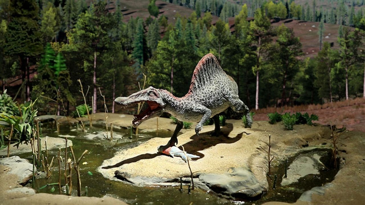 તમને જણાવી દઈએ કે,બાલાસિનોર ડાયનાસોર મ્યુઝિયમ દર સોમવારે બંધ રહે છે. અહી તમે તમારી પ્રાઈવેટ કાર લઈને પણ મુલાકાત લઈ શકો છો. (all Photo : canva)