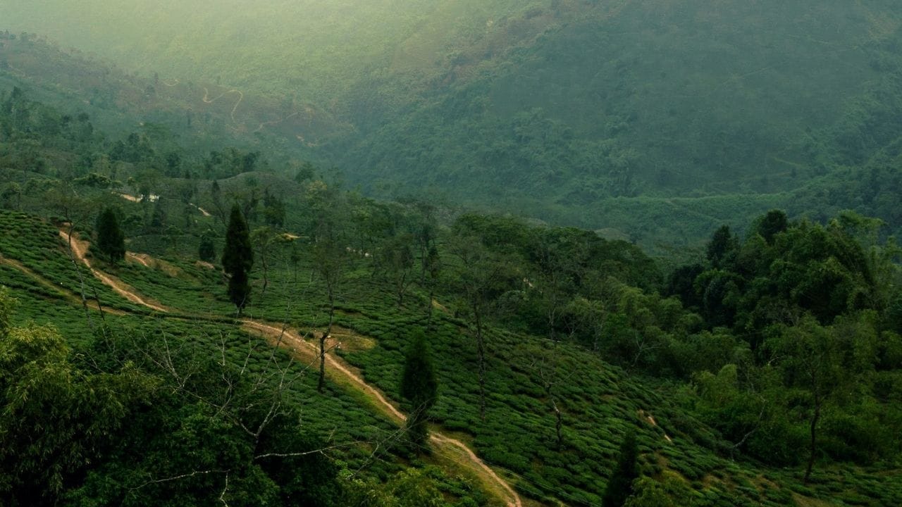 બાળકોનું સમર વેકેશન હોય કે તહેવારોના વેકેશન આવતા હોય ત્યારે લોકો વધારે ટ્રાવેલ કરતા નજરે પડે છે. તેમાં પણ ગુજરાતના સ્થળો બધાના ફેવરિટ છે. તો ટ્રાવેલને લગતા વધુ સમાચાર વાંચવા માટે અહી ક્લિક કરો