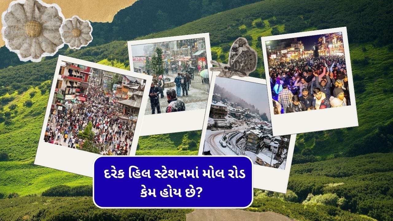 ટુરિસ્ટ હંમેશા મોલ રોડથી અલગ અલગ વસ્તુઓનું શોપિંગ કરે છે. પરંતુ શું તમે જાણો છો કે, ભારતના મોટાભાગના હિલ સ્ટેશન પર અંગ્રેજોએ મોલ રોડ કેમ બનાવ્યા હતા? અંગ્રેજોએ આ કેમ બનાવ્યા તેનું કારણ ખરેખર ખૂબ જ રસપ્રદ છે.