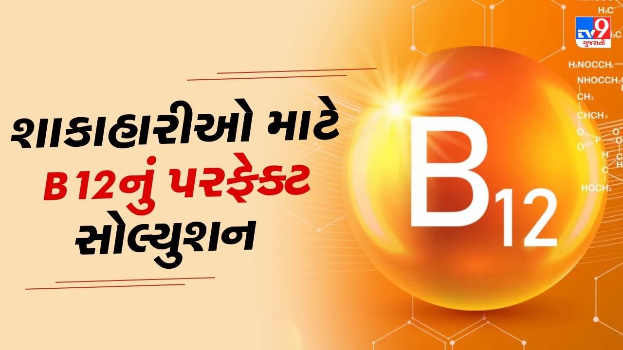 ઝડપી જીવનશૈલી અને બદલાતી ખોરાકની આદતોને કારણે શરીરમાં વિવિધ વિટામિન્સની ઉણપ સામાન્ય થઈ ગઈ છે, જેમાં વિટામિન B12ની કમી સૌથી વધુ જોવા મળે છે. વિટામિન B12 આપણા DNA નિર્માણમાં અને શરીરના કોષોને ઊર્જા પૂરી પાડવામાં મહત્વપૂર્ણ ભૂમિકા ભજવે છે. તેની ઉણપ એનિમિયા, થાક અને શારીરિક નબળાઈ જેવી સમસ્યાઓનું કારણ બની શકે છે. ખાસ કરીને શાકાહારી લોકોમાં આ વિટામિનની કમી વધુ જોવા મળે છે, કારણ કે તે મુખ્યત્વે માંસાહારી ખોરાકમાં ઉપલબ્ધ હોય છે. આ ઉણપ દૂર કરવા માટે વિટામિન B12 સપ્લિમેન્ટ્સ લેવી કે પછી એવાં ખોરાકનો સમાવેશ કરવો જોઈએ જેમાં આ વિટામિન પૂરતા પ્રમાણમાં મળે.