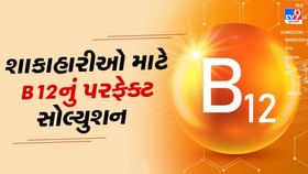 વિટામિન B12 માટે શ્રેષ્ઠ શાકાહારી વિકલ્પ, આ દાળના છે અજાણ્યા ફાયદા વિટામિન B12 માટે શ્રેષ્ઠ શાકાહારી વિકલ્પ, આ દાળના છે અજાણ્યા ફાયદા