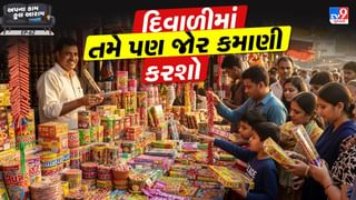 Business Idea : મહિને ₹5 થી ₹20 લાખની કમાણી ! દિવાળી આવી રહી છે, સીઝનલ બિઝનેસ શરૂ કરો અને મોજમાં રહો