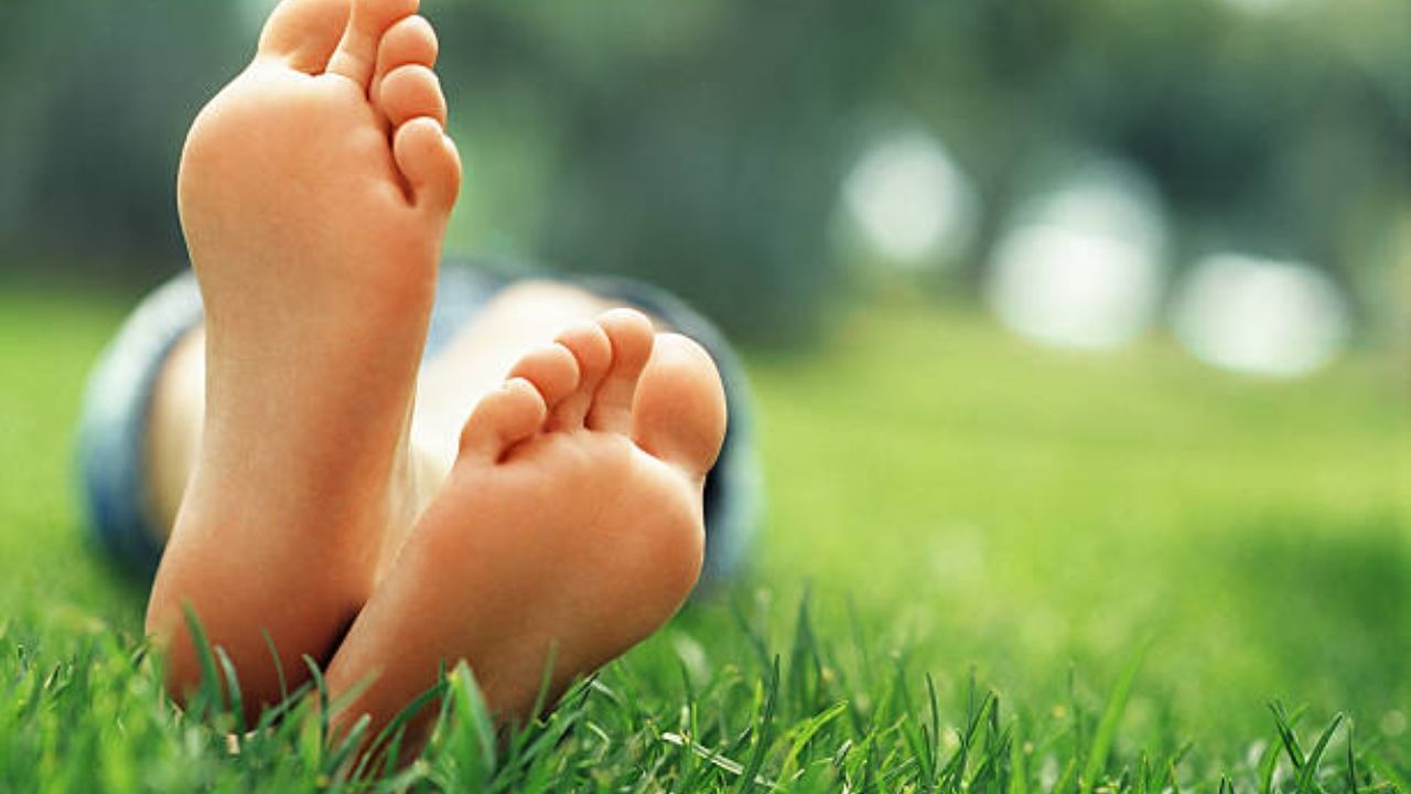 पैरों के तलवों पर शुभ निशान: सामुद्रिक शास्त्र में शरीर के अंगों की बनावट, रंग, तिल और उन पर मौजूद खास निशान व्यक्ति के व्यक्तित्व का संकेत देते हैं। जानिए पैरों के तलवों पर कौन से निशान बेहद शुभ माने जाते हैं और राजयोग प्रदान करते हैं।
