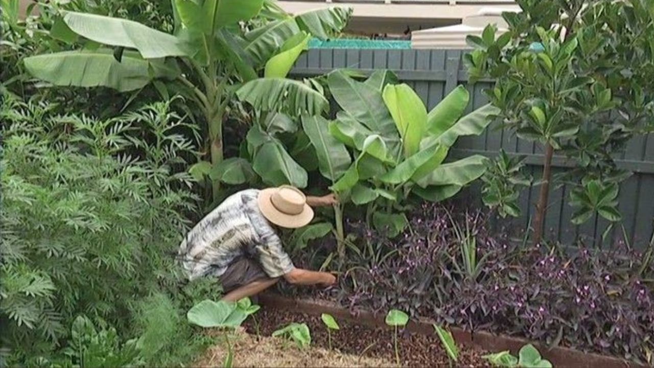 નોંધ: અહીં આપેલી માહિતી વાસ્તુ શાસ્ત્રના આધારે છે, આથી TV9 Gujarati તેની પુષ્ટિ કરતુ નથી