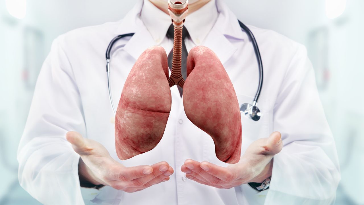 શ્વસન સ્વાસ્થ્યમાં સુધારો: એલચી શ્વસન સ્વાસ્થ્યમાં સુધારો કરવામાં મદદ કરે છે અને શ્વાસ લેવામાં સરળતા લાવે છે. એલચીનું પાણી લાળ સાફ કરે છે, નાક બંધ થવાથી રાહત આપે છે અને ફેફસાના સ્વાસ્થ્યમાં સુધારો કરે છે, જે અસ્થમા અથવા બ્રોન્કાઇટિસ જેવી શ્વસન સમસ્યાઓથી પીડાતા લોકો માટે ફાયદાકારક બનાવે છે.