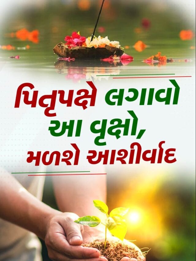 પિતૃપક્ષ દરમિયાન આ વૃક્ષો અને છોડ લગાવવાથી જીવનમાં આવી શકે છે સમૃદ્ધિ