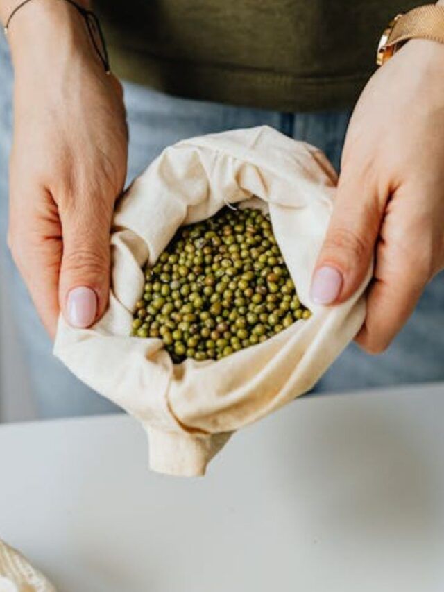 Mung Daal Sprouts : સવારે કે રાત્રે.. મગની દાળ ક્યારે ખાવાથી સૌથી વધુ ફાયદો થાય છે?