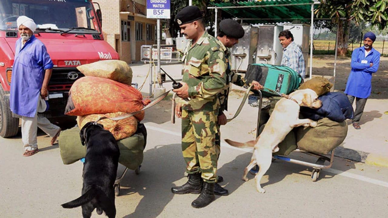 આ કૂતરાઓનો તાલીમ સમયગાળો 6 થી 9 મહિનાનો હોય છે. આ સમય દરમિયાન, કૂતરાઓને ઘણી કુશળતા શીખવવામાં આવે છે, જેમ કે ગંધ દ્વારા વિસ્ફોટકો અને શસ્ત્રો ઓળખવા, ખોવાયેલી વસ્તુઓ અને મૃતદેહો શોધવા, સરહદ પર શંકાસ્પદ પ્રવૃત્તિઓ પર નજર રાખવી, આપત્તિ વ્યવસ્થાપન અને બચાવ કામગીરીમાં મદદ કરવી વગેરે.
