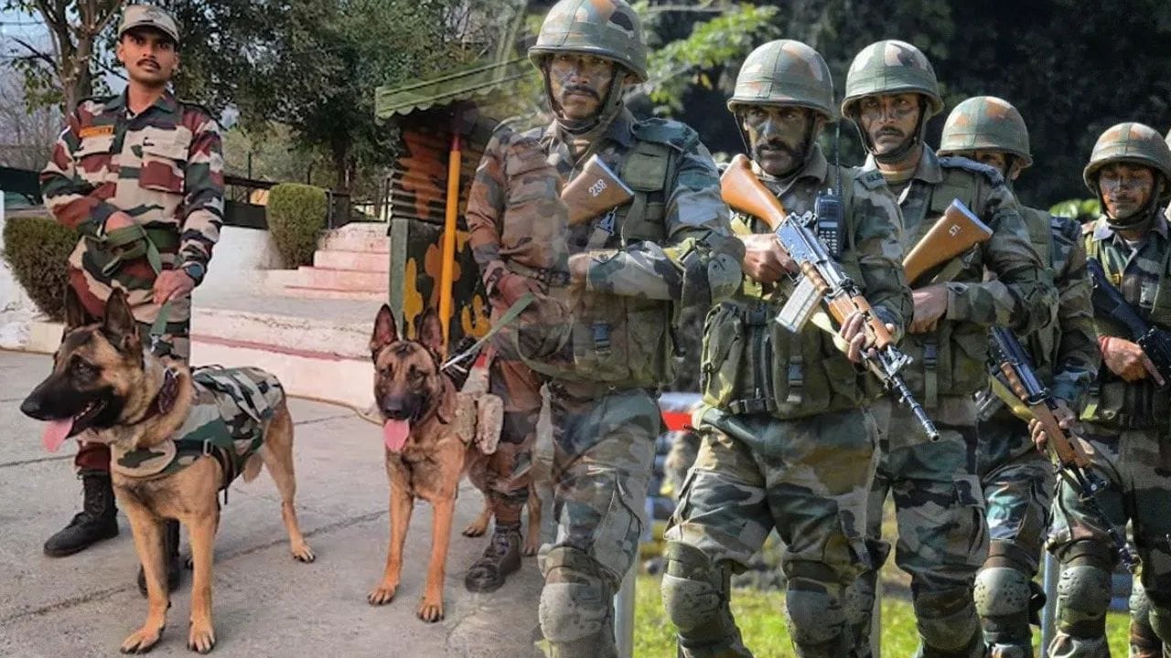 ભારતીય સેના મુખ્યત્વે લેબ્રાડોર, બેલ્જિયન માલિનોઇસ, જર્મન શેફર્ડ અને મુધોલ હાઉન્ડ અને રાજપલયમ જેવી સ્વદેશી જાતિઓને તાલીમ આપે છે. આ જાતિઓ તેમની સૂંઘવાની ક્ષમતા, ચપળતા અને શિસ્તના આધારે પસંદ કરવામાં આવે છે.