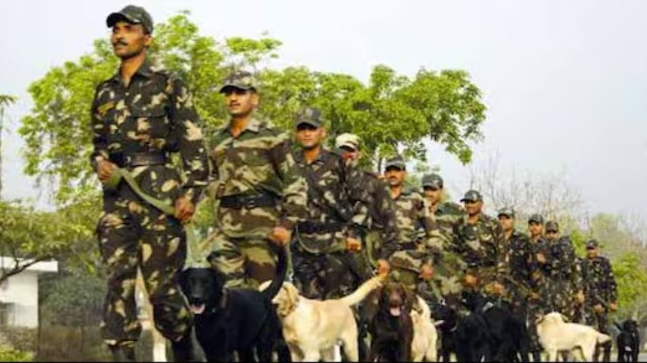 આ એશિયાનું સૌથી મોટું અને સૌથી જૂનું લશ્કરી કૂતરા તાલીમ કેન્દ્ર છે, જે 1960 માં સ્થાપિત થયું હતું. દર વર્ષે અહીં 200 થી વધુ કૂતરાઓને વિવિધ શ્રેણીઓમાં તાલીમ આપવામાં આવે છે.