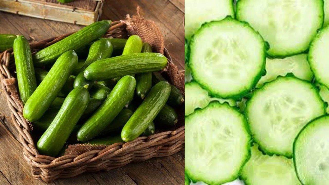 કાકડી - લોકો ઘણીવાર કાકડીઓને ફ્રિજમાં રાખે છે, પરંતુ કાકડીઓ 10 ડિગ્રી સેલ્સિયસથી ઓછા તાપમાને ઝડપથી બગડવા લાગે છે. તેને રેફ્રિજરેટરમાં રાખવાથી તે પીળી પડી શકે છે અને તેમનો સ્વાદ ગુમાવી શકે છે. કાકડીઓને હંમેશા સામાન્ય ટોપલીમાં સંગ્રહિત કરવી જોઈએ. ઉપરાંત, કાકડીઓને ક્યારેય ટામેટાં અને તરબૂચ નજીક સંગ્રહિત ન કરવી જોઈએ, કારણ કે તે ઇથિલિન ગેસ છોડે છે જેના કારણે કાકડીઓ ઝડપથી બગડી શકે છે.