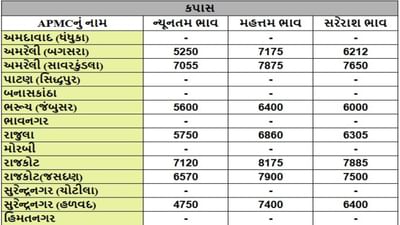 કપાસના તા.12-09-2025ના રોજ APMCના ભાવ રૂ.4750 થી 8175 રહ્યા.