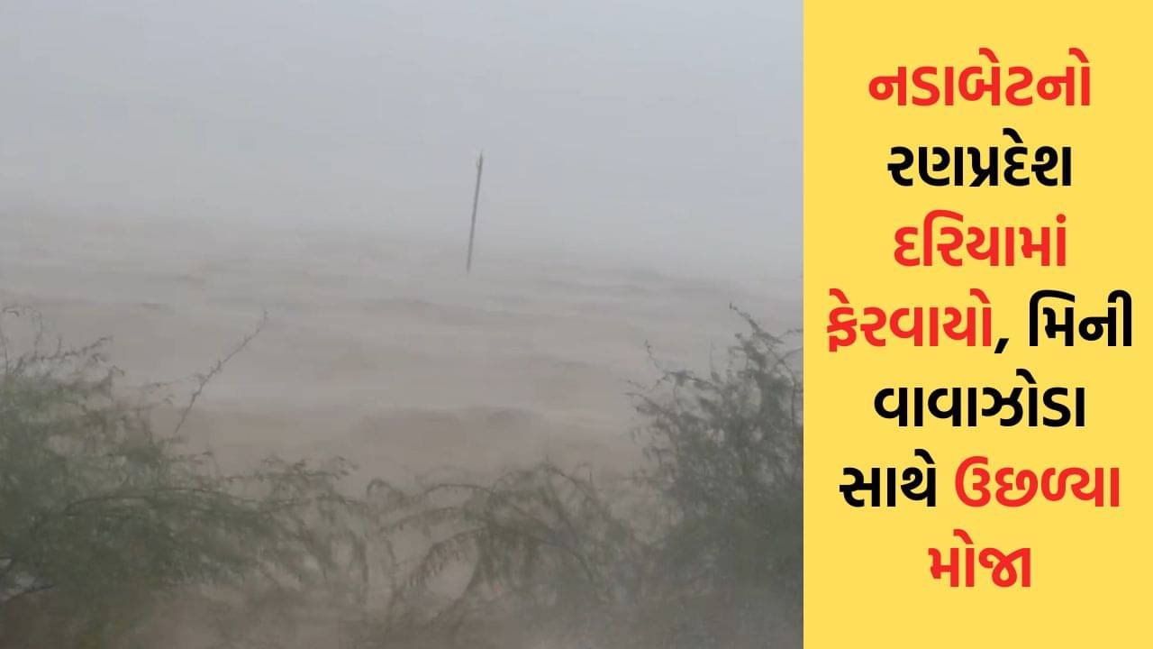 સરહદી વિસ્તાર નડાબેટનો રણપ્રદેશ દરિયામાં ફેરવાયો, મિની વાવાઝોડા સાથે ઉછળ્યા મોજા, જુઓ Video