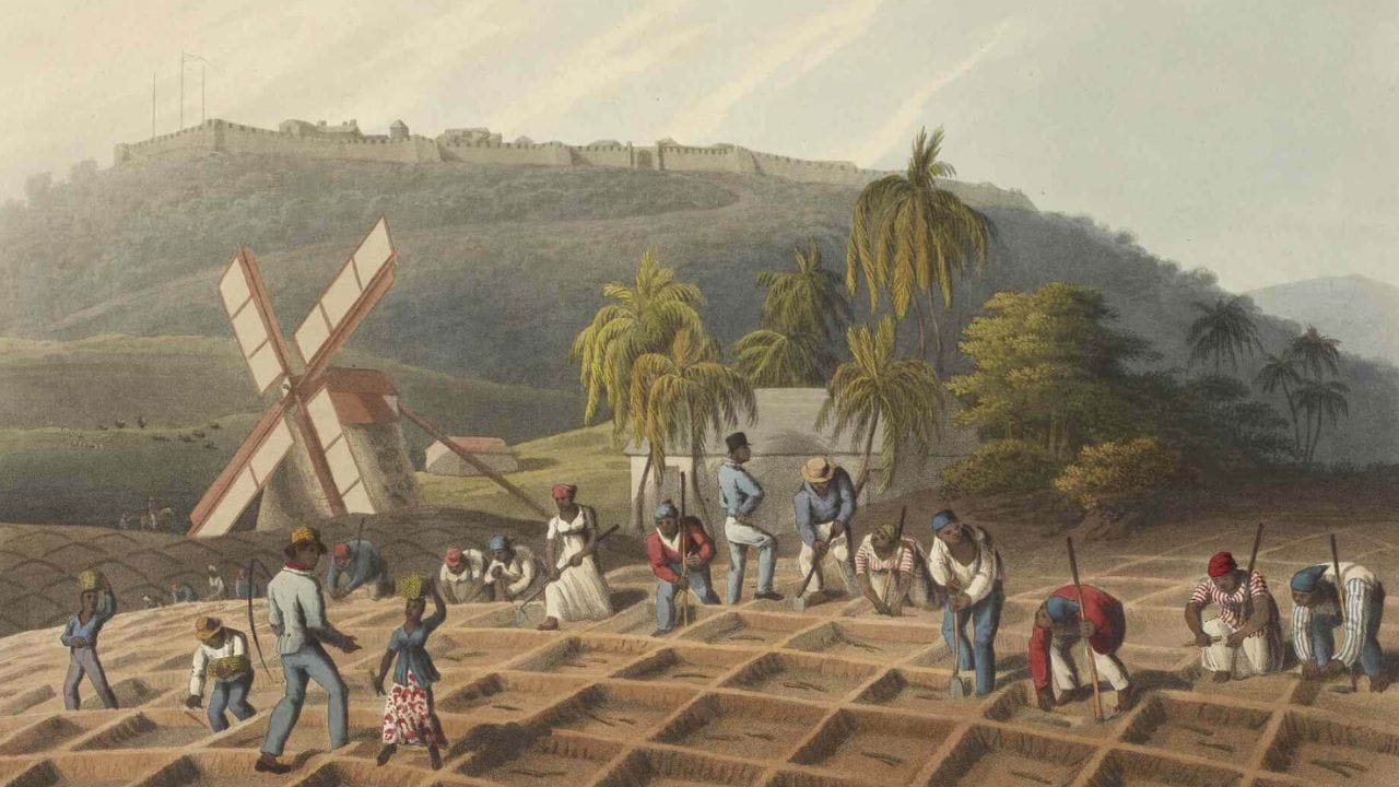 યુનાઇટેડ સ્ટેટ્સે 1808 માં Slave Tradeને ગેરકાયદેસર ઠેરવ્યો. બ્રિટને 1833 માં સમગ્ર સામ્રાજ્યમાં ગુલામી નાબૂદ કરી. બ્રાઝિલે 1850 માં ગુલામોની આયાત બંધ કરી દીધી, પરંતુ 1888 માં ગુલામી સંપૂર્ણપણે નાબૂદ કરવામાં આવી.