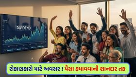 111 કંપની ડિવિડન્ડ આપશે ! રોકાણકારોમાં ઉત્સાહનો પાર નહી 111 કંપની ડિવિડન્ડ આપશે ! રોકાણકારોમાં ઉત્સાહનો પાર નહી