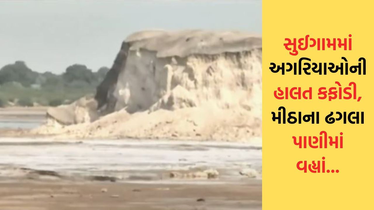 સુઈગામમાં અગરિયાઓની હાલત કફોડી, મીઠાના ઢગલા પાણીમાં વહ્યાં – જુઓ Video