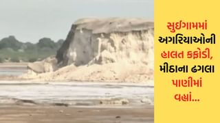 સુઈગામમાં અગરિયાઓની હાલત કફોડી, મીઠાના ઢગલા પાણીમાં વહ્યાં – જુઓ Video
