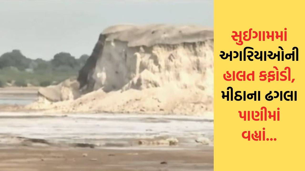 સુઈગામમાં અગરિયાઓની હાલત કફોડી, મીઠાના ઢગલા પાણીમાં વહ્યાં – જુઓ Video