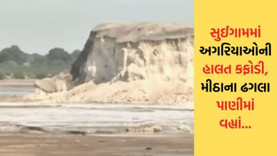 સુઈગામમાં અગરિયાઓની હાલત કફોડી, મીઠાના ઢગલા પાણીમાં વહ્યાં - જુઓ Video