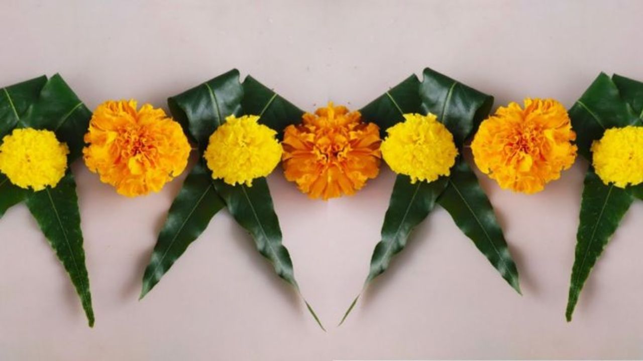 અસોપાલવના પાનને પૂજામાં શુભ માનવામાં આવે છે. તેથી, દેવી દુર્ગાને પ્રસન્ન કરવાની આ એક સરળ અને અસરકારક રીત છે. આથી ઘણા ઘરોમાં આજે પણ અસોપાલવના પાનનું તોરણ લગાવવામાં આવે છે.