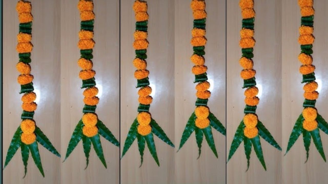 પુરાણો અનુસાર, અસોપાલવના વૃક્ષને દેવી લક્ષ્મી અને દેવી દુર્ગાનું પ્રિય માનવામાં આવે છે. નવરાત્રિ દરમિયાન અસોપાલવના પાનનું તોરણ લટકાવવાથી દેવી દુર્ગા પ્રસન્ન થાય છે અને તેમના ભક્તોને સુખ અને સમૃદ્ધિનો આશીર્વાદ મળે છે. તેથી, નવરાત્રીના શુભ પ્રસંગે, તમારા ઘરના મુખ્ય પ્રવેશદ્વાર પર આ તોરણ લગાવવું જોઈએ. 