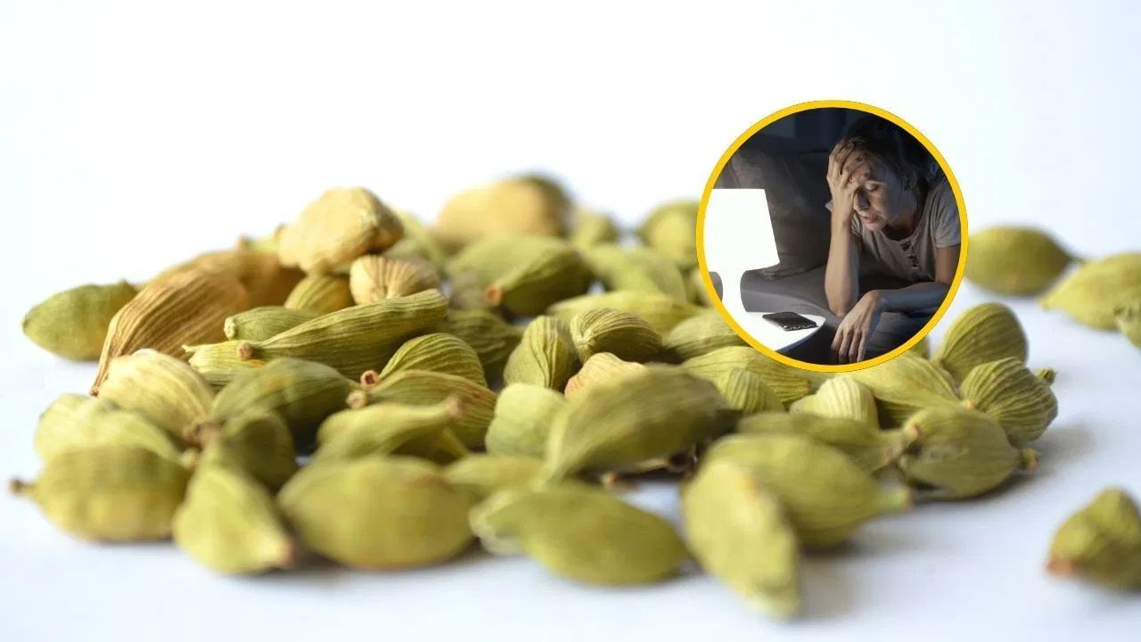 नकारात्मक ऊर्जा से बचें: उत्तर-पश्चिम दिशा में कांच के बर्तन में इलायची, लौंग, साबुत दालचीनी और सुपारी रखें। यह उपाय घर में सकारात्मक ऊर्जा बढ़ाने और नकारात्मक ऊर्जा से बचने में मदद करता है।