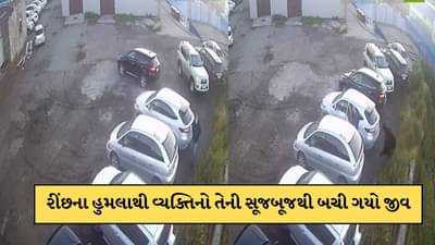 રીંછના હુમલાથી માઈક્રો સેકેન્ડમાં બચ્યો જીવ, સૂજબૂજથી આવી રીતે બચી ગયો વ્યક્તિ, જુઓ-Video