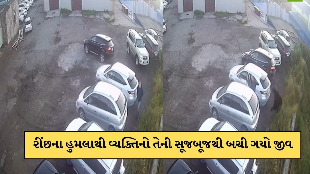 રીંછના હુમલાથી માઈક્રો સેકેન્ડમાં બચ્યો જીવ, સૂજબૂજથી આવી રીતે બચી ગયો વ્યક્તિ, જુઓ-Video
