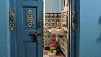 દરેક વસ્તુને યોગ્ય જગ્યાએ અને યોગ્ય રીતે રાખવા પાછળ વાસ્તુ શાસ્ત્રે કેટલાક ખાસ કારણો આપ્યા છે. આમાંથી એક બાથરૂમનો દરવાજો બંધ રાખવો છે. એવું માનવામાં આવે છે કે ખુલ્લો દરવાજો ઘરમાં નકારાત્મક ઉર્જા આકર્ષે છે. બાથરૂમમાં પાણી અને તેની સાથે સંકળાયેલ ઊર્જા હોય છે અને જ્યારે તેનો દરવાજો ખુલ્લો હોય છે, ત્યારે આ ઊર્જા આખા ઘરમાં ફેલાઈ શકે છે. આના કારણે પરિવારના સભ્યોને આર્થિક, માનસિક અને સ્વાસ્થ્ય સંબંધિત સમસ્યાઓનો સામનો કરવો પડી શકે છે.